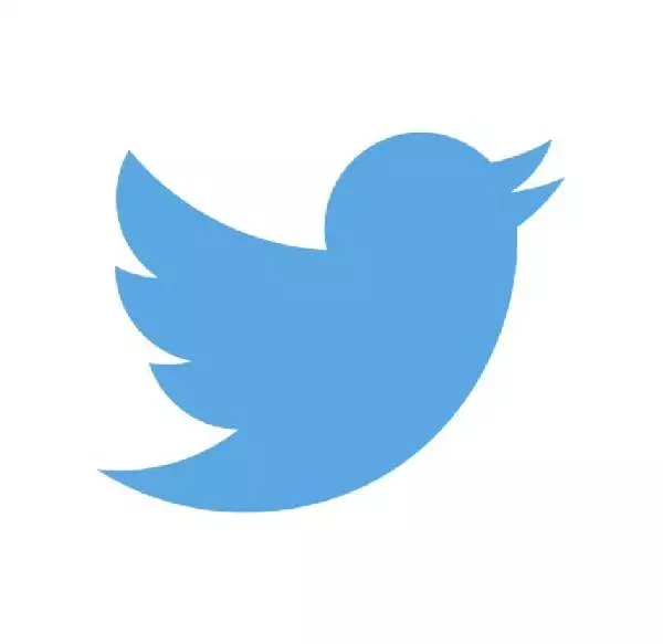 mẫu thiết kế logo Twitter