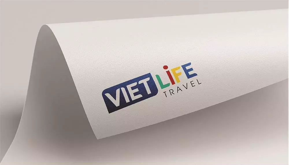 thiet-ke-logo-vietlife