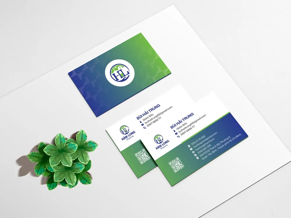 Thiết Kế Logo Cho Startup: Hướng Dẫn Đầu Tư Thông Minh Thay Vì Đốt Tiền Vào Giải Pháp Giá Rẻ