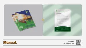 Thiết kế profile Công ty logistics Mr Bùi